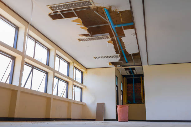 Best Water damage restoration experts  in Mount Plymouth, FL
