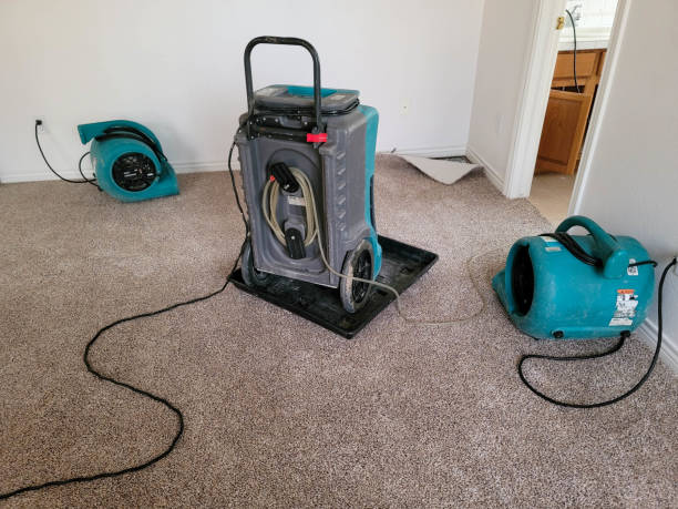 Mount Plymouth, FL Water damage restoration Company