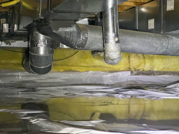 Best Water damage contractors near me  in Mount Plymouth, FL