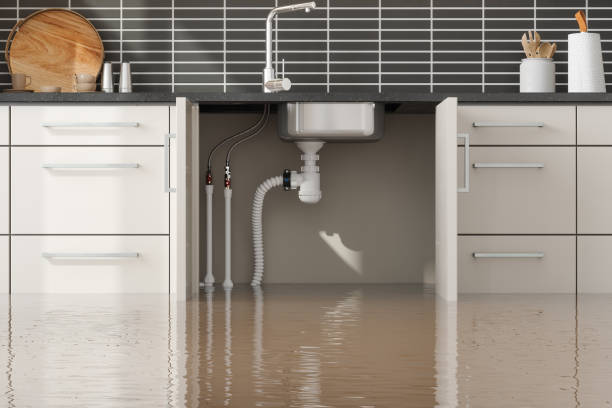 Water damage restoration experts in Mount Plymouth, FL
