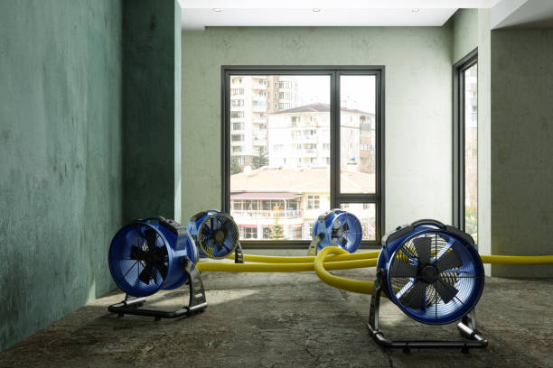 Best 24/7 water damage repair  in Mount Plymouth, FL