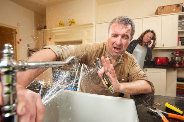 Best Commercial water damage restoration  in Mount Plymouth, FL